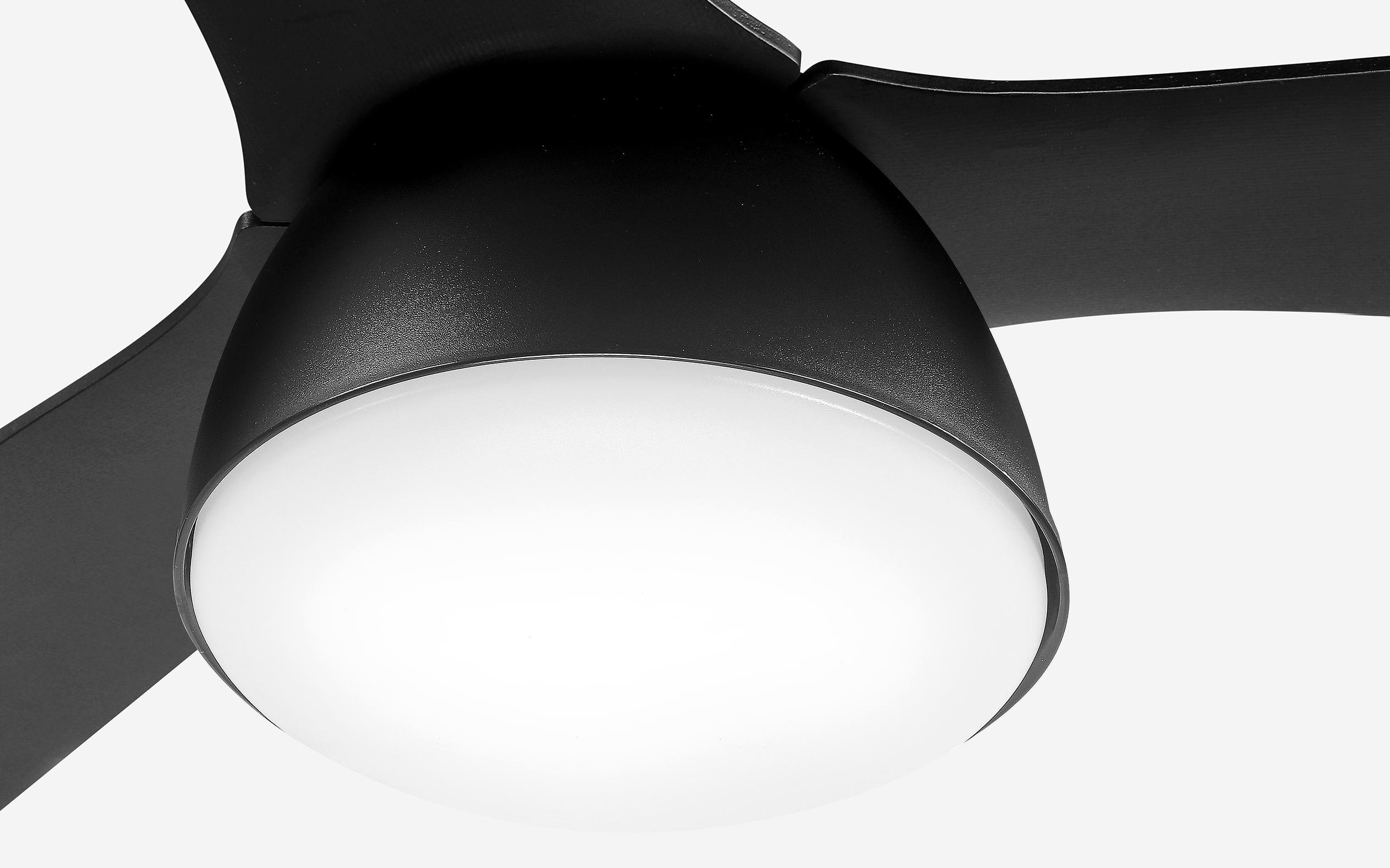 Pebbel Storm Ceiling Fan - #Body Color_Black|Blade Color_Black|Blade Size_56"
