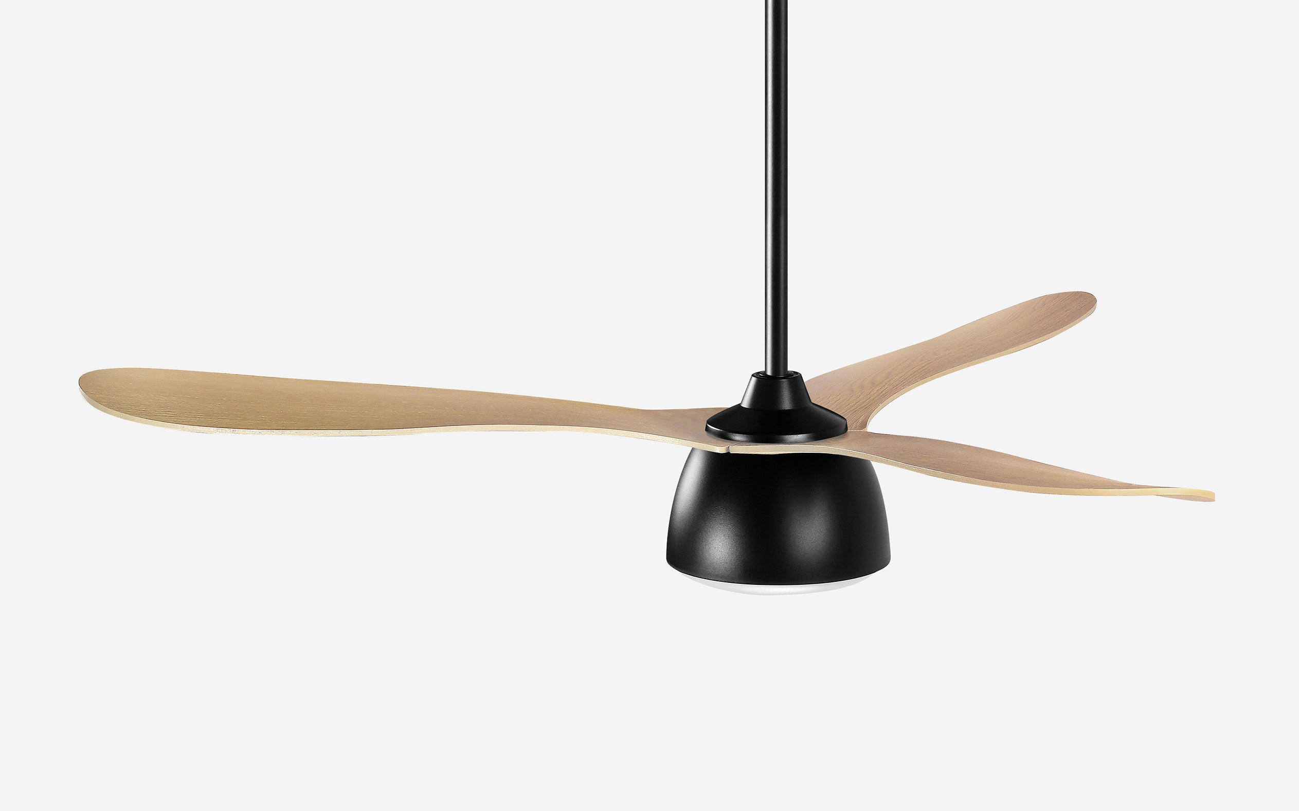 Pebbel Storm Ceiling Fan - #Body Color_Black|Blade Color_Teak|Blade Size_56"