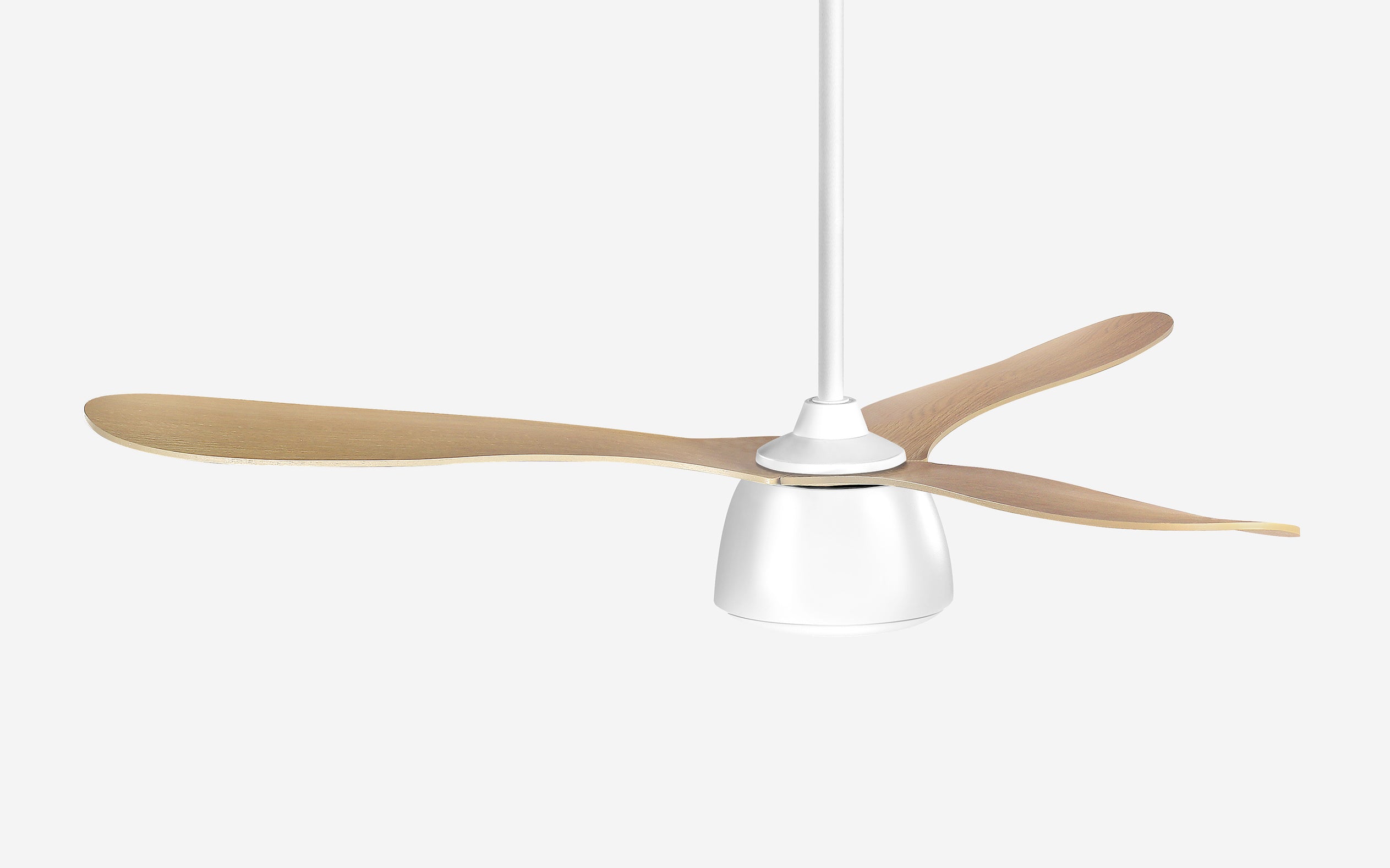 Pebbel Storm Ceiling Fan - #Body Color_White|Blade Color_Teak|Blade Size_56"