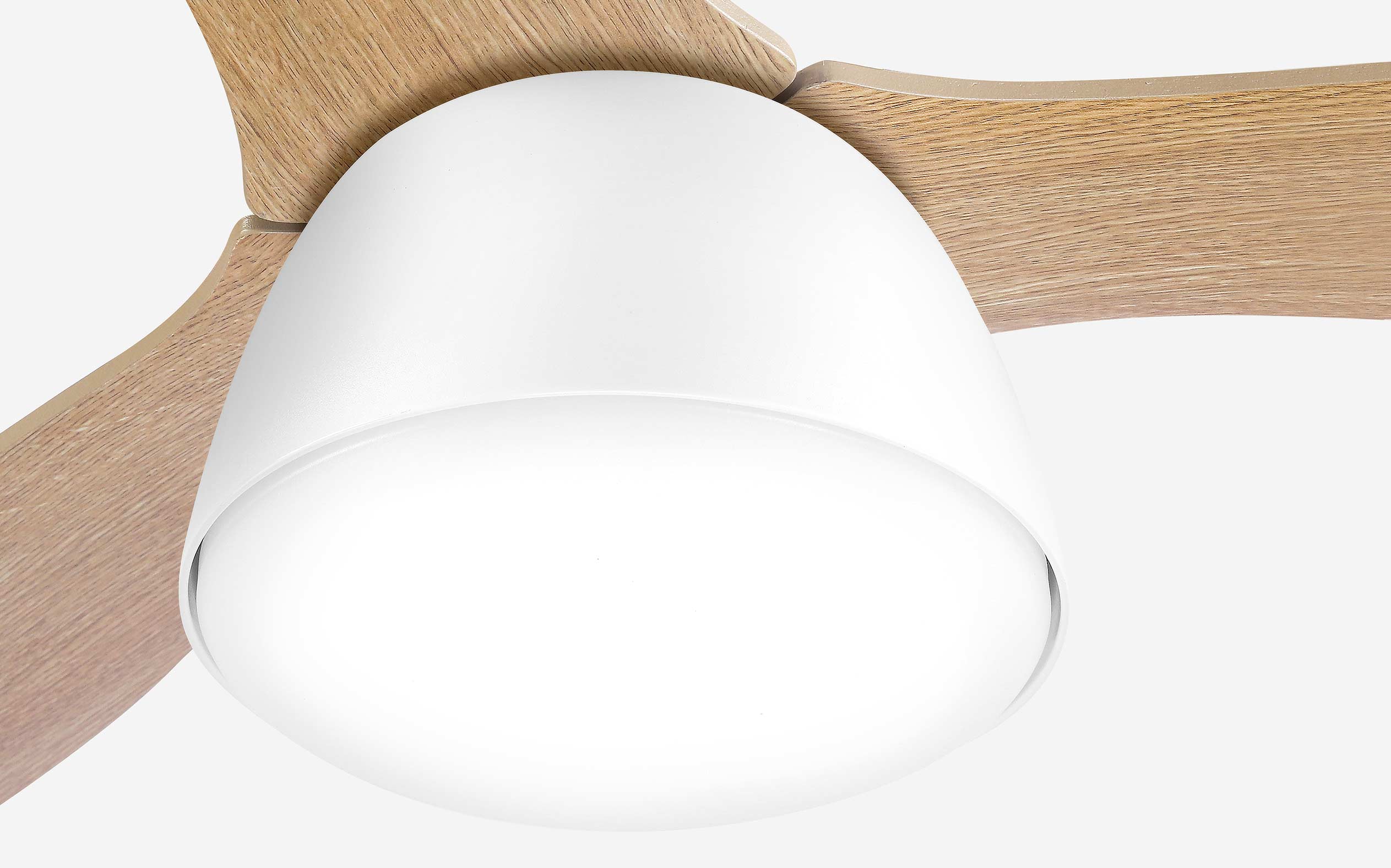 Pebbel Storm Ceiling Fan - #Body Color_White|Blade Color_Teak|Blade Size_56"