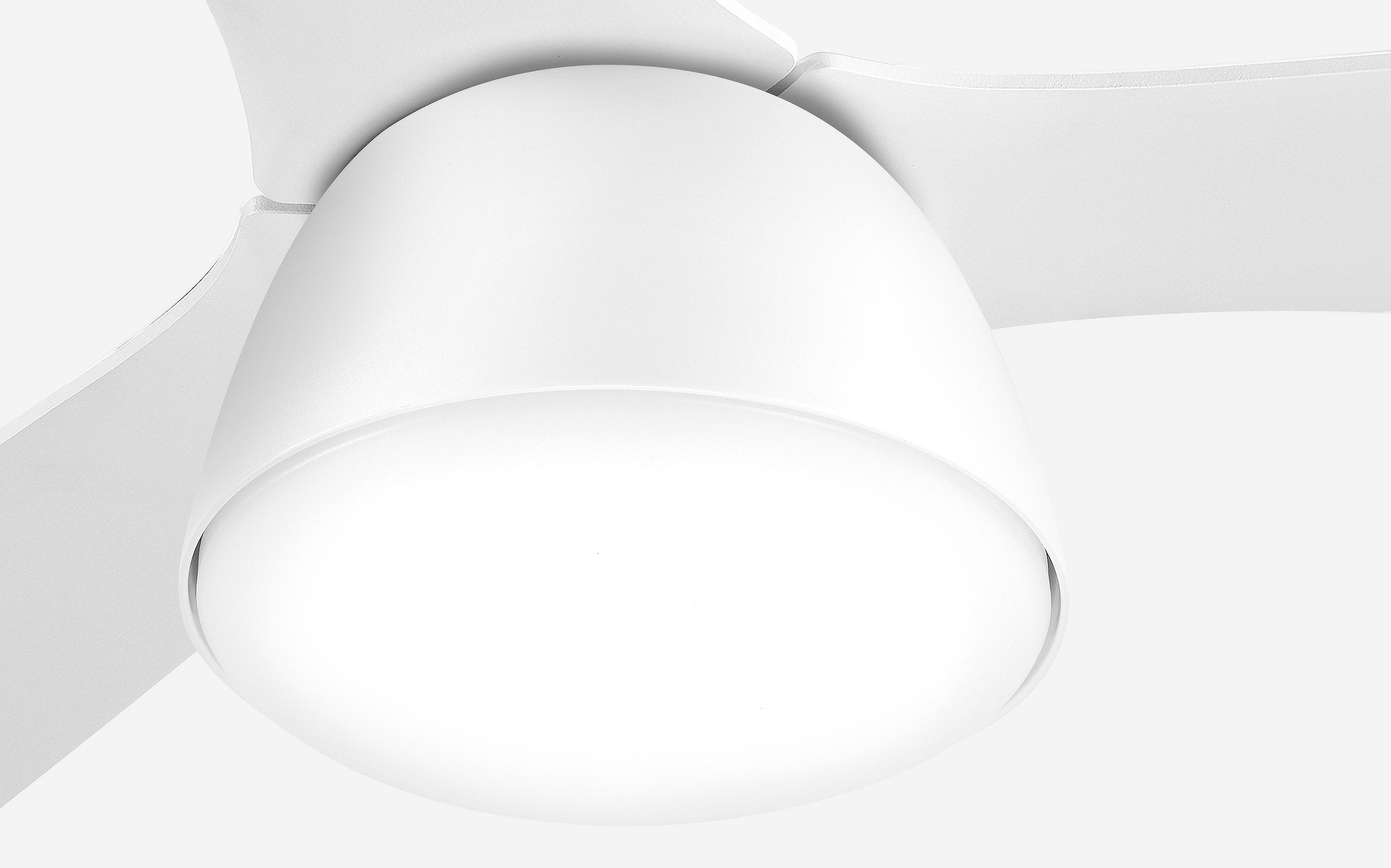 Pebbel Storm Ceiling Fan - #Body Color_White|Blade Color_White|Blade Size_56"