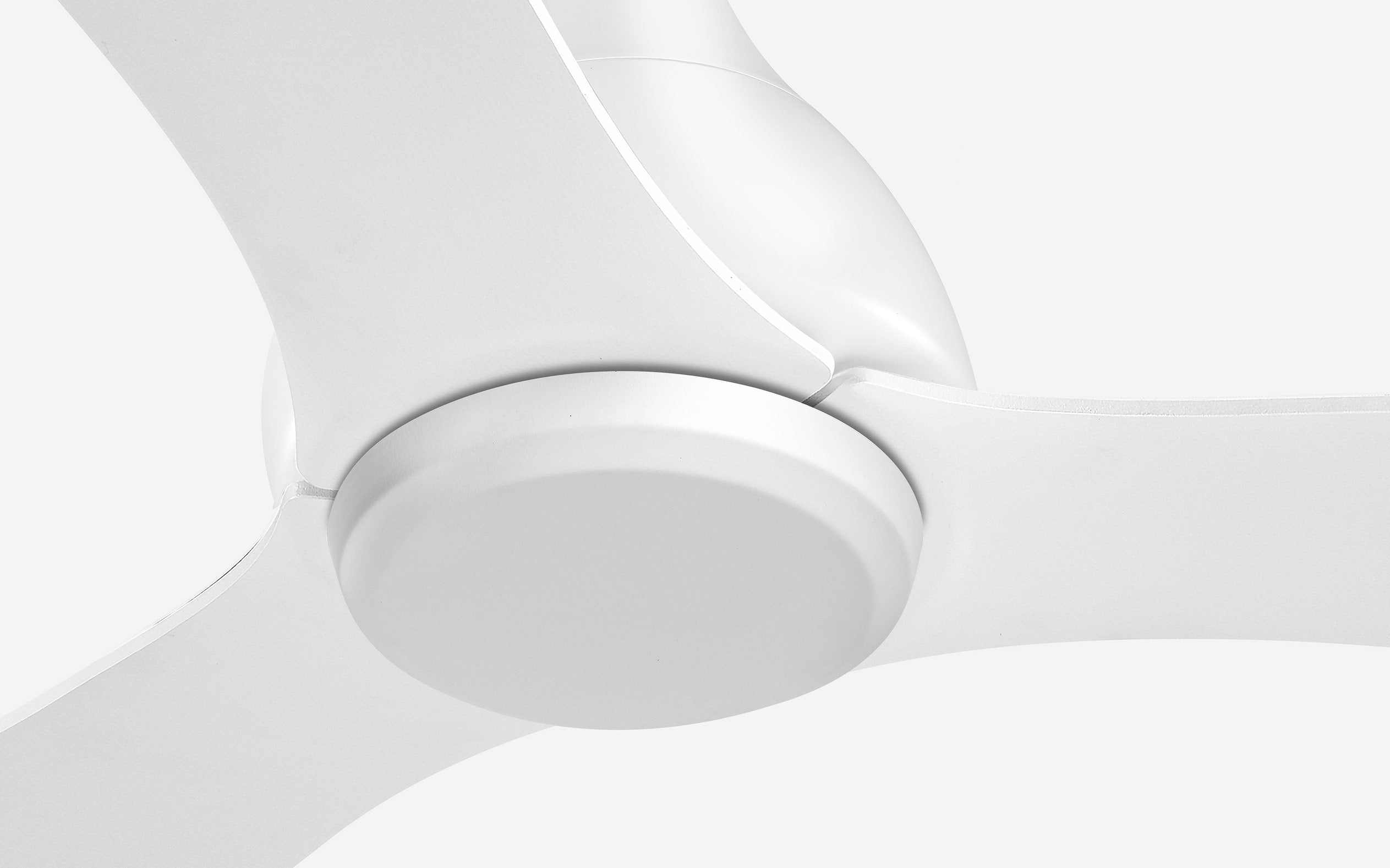 Opal Storm Ceiling Fan - #Body Color_White|Blade Color_White|Blade Size_56"