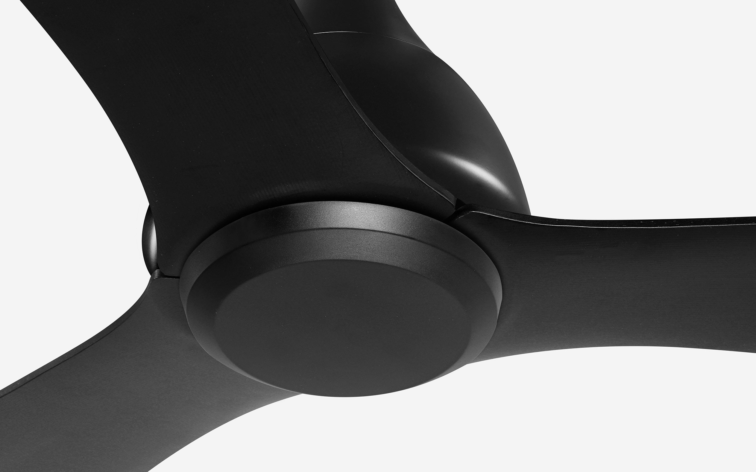 Opal Storm Ceiling Fan - #Body Color_Black|Blade Color_Black|Blade Size_42"