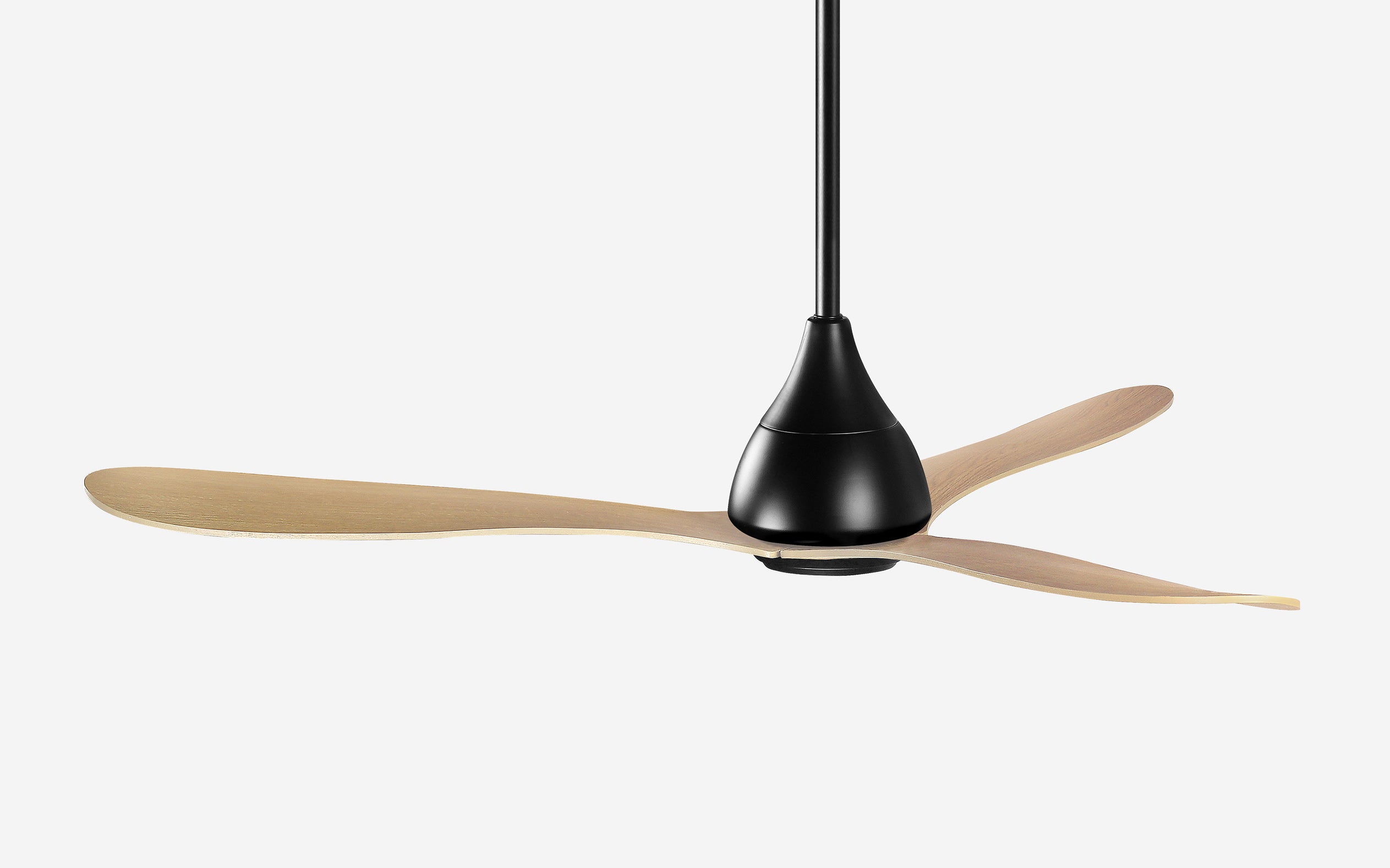 Opal Storm Ceiling Fan - #Body Color_Black|Blade Color_Teak|Blade Size_42"