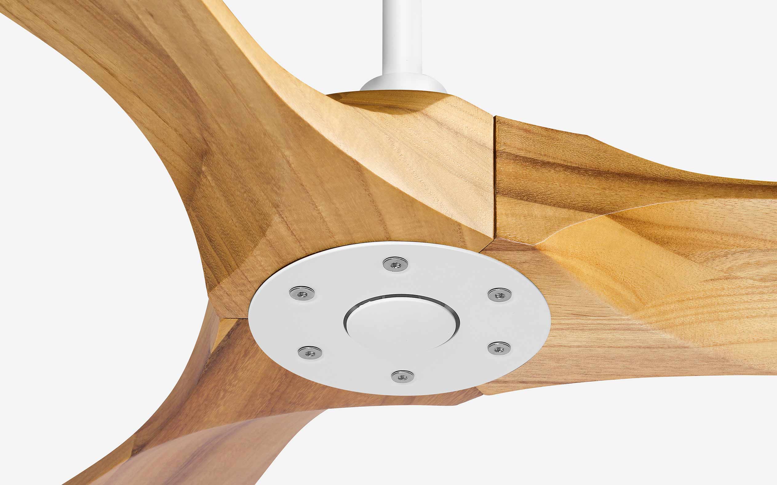 Nexus Ceiling Fan - #Body Color_White|Blade Color_Teak|Blade Size_54"