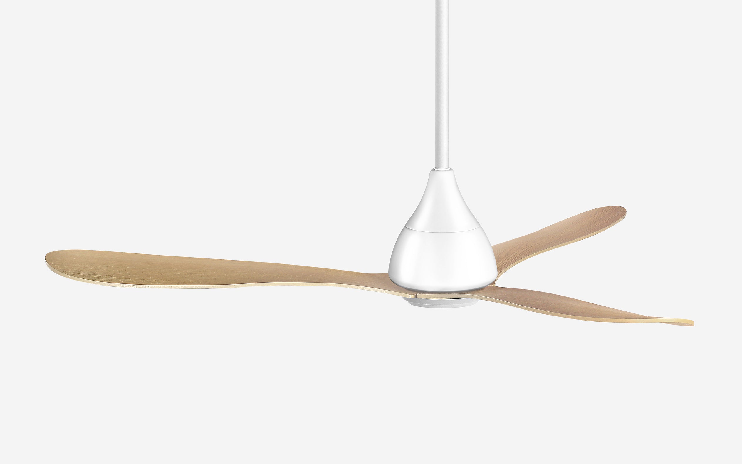 Opal Storm Ceiling Fan - #Body Color_White|Blade Color_Teak|Blade Size_56"