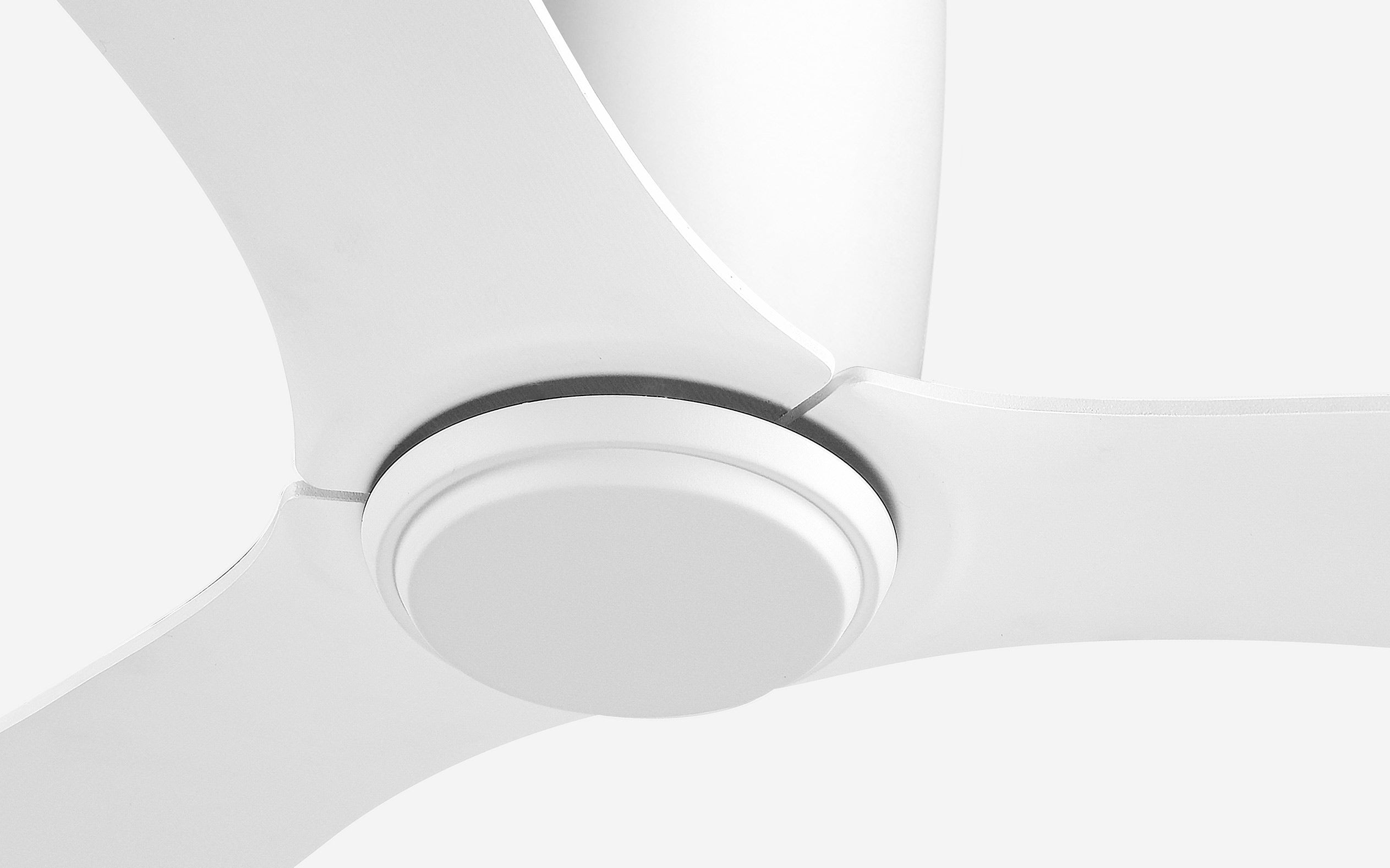 Titanium Storm Ceiling Fan - #Body Color_White|Blade Color_White|Blade Size_42"