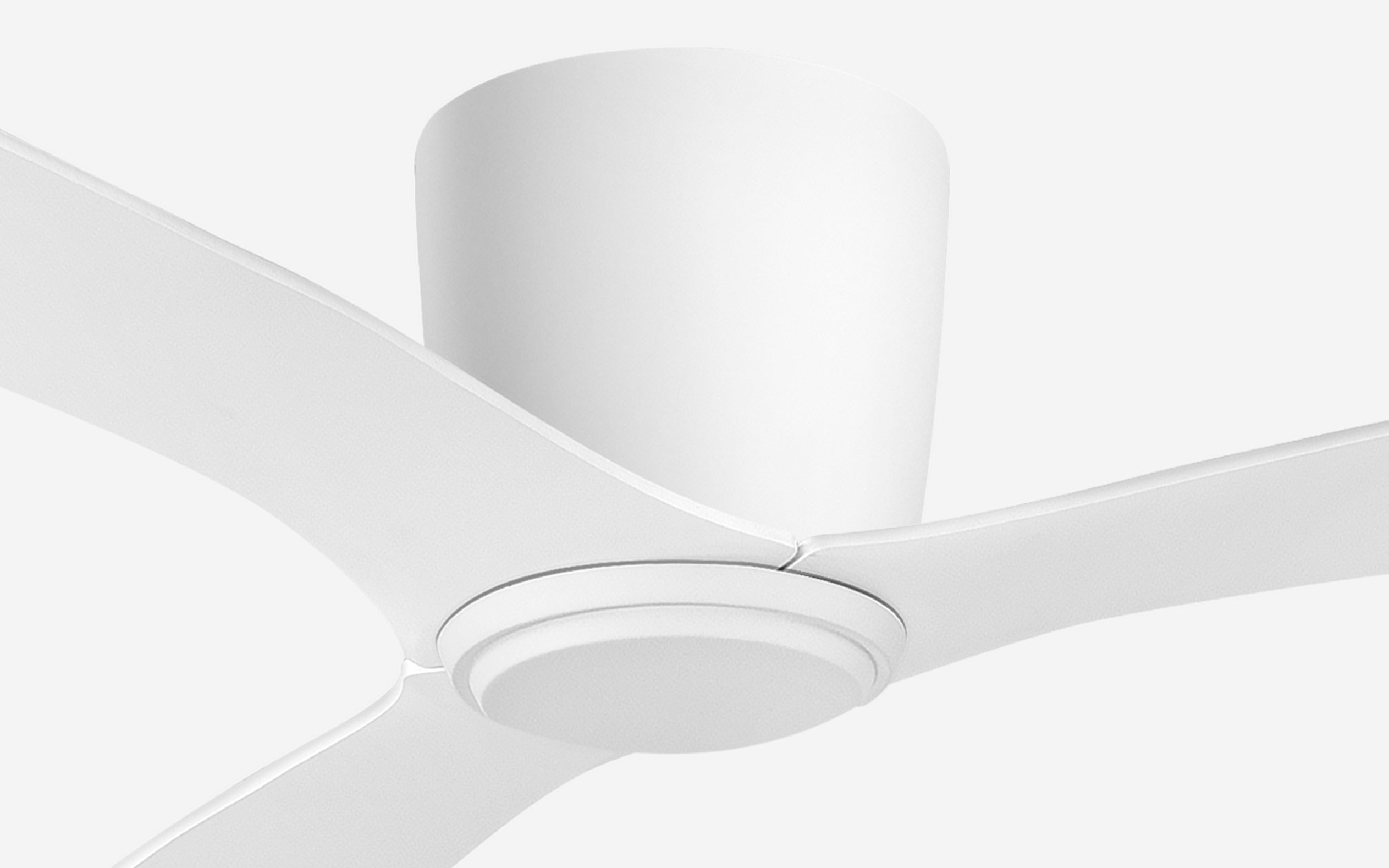 Titanium Storm Ceiling Fan - #Body Color_White|Blade Color_White|Blade Size_42"