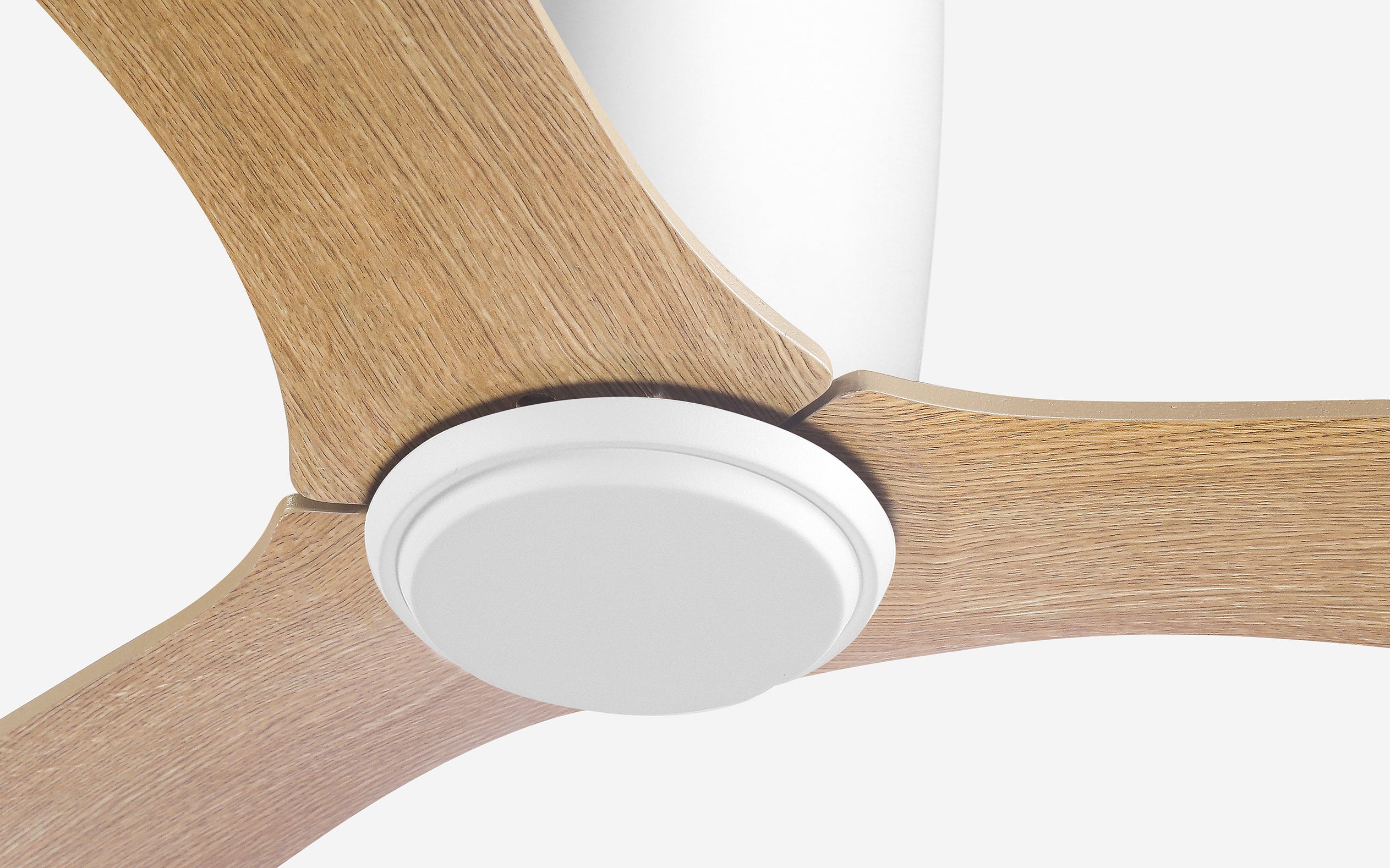 Titanium Storm Ceiling Fan - #Body Color_White|Blade Color_Teak|Blade Size_48"