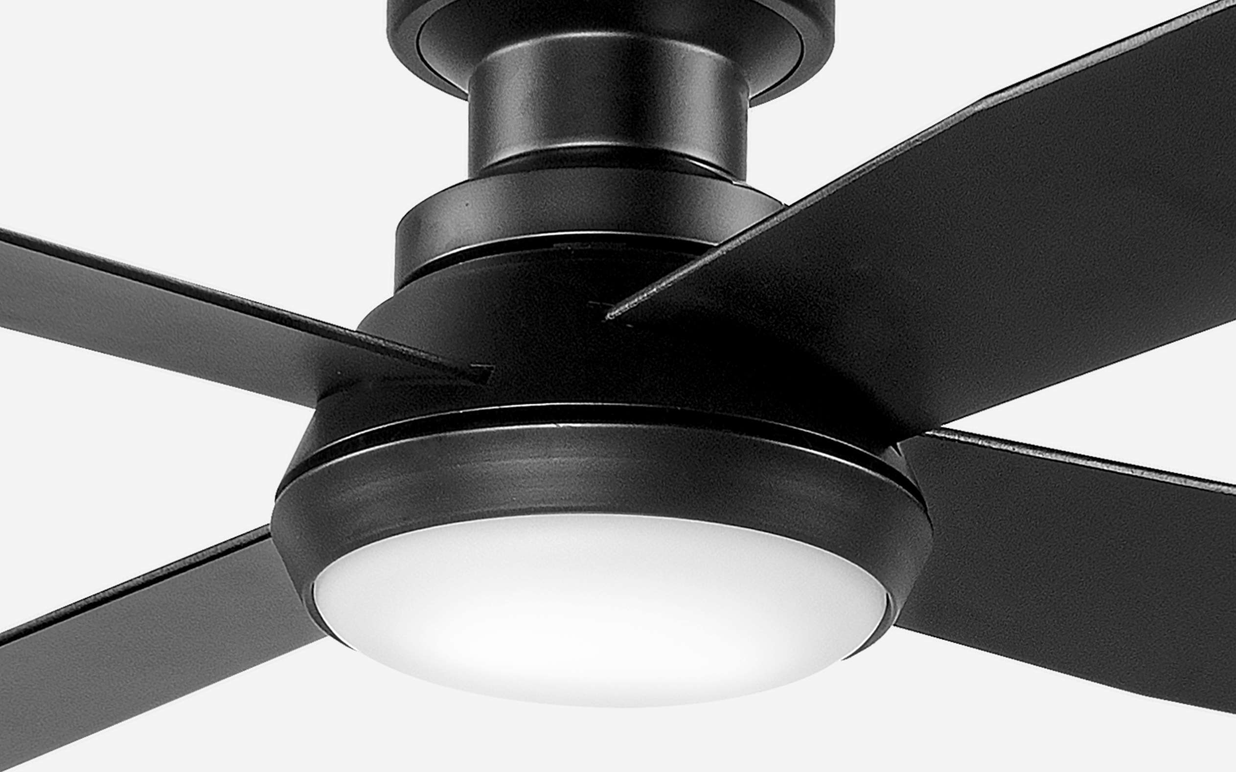 Boulder Ceiling Fan - #Body Color_Black|Blade Color_Black