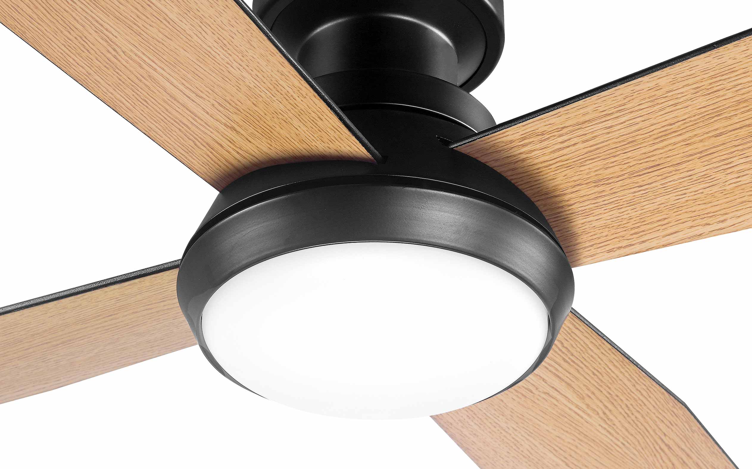 Boulder Ceiling Fan - #Body Color_Black|Blade Color_Teak